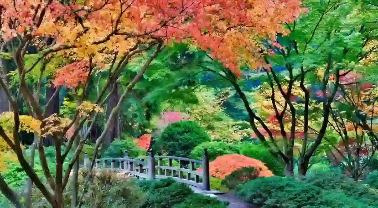 The Portland Japanese Garden is a beautiful display of lush greenery