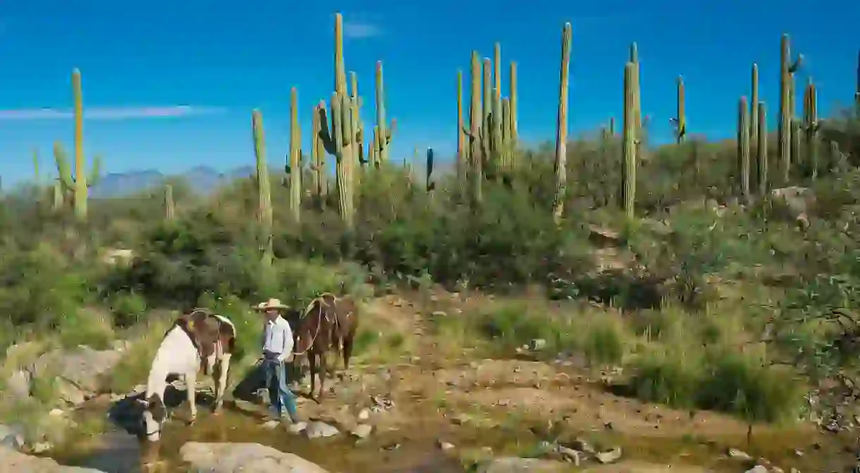 Saddle up and take a horse hike through the Wild West of Americas most rural landscapes