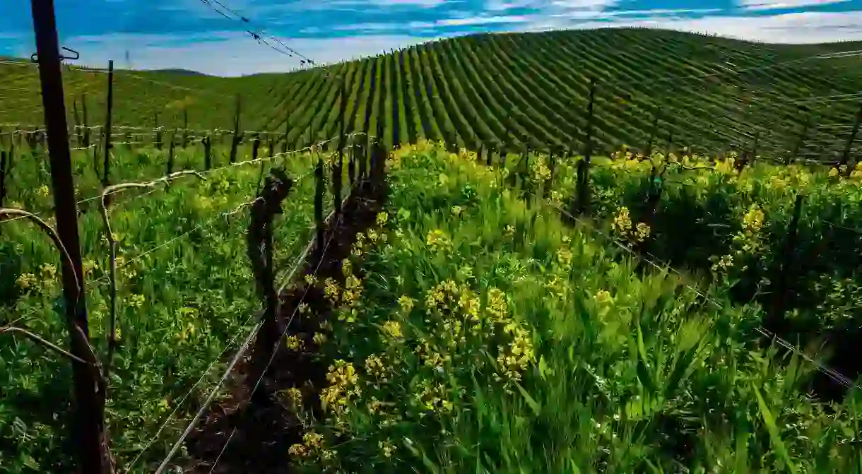 Discover the top places to stay near the verdant wine-producing area of California that is Grass Valley