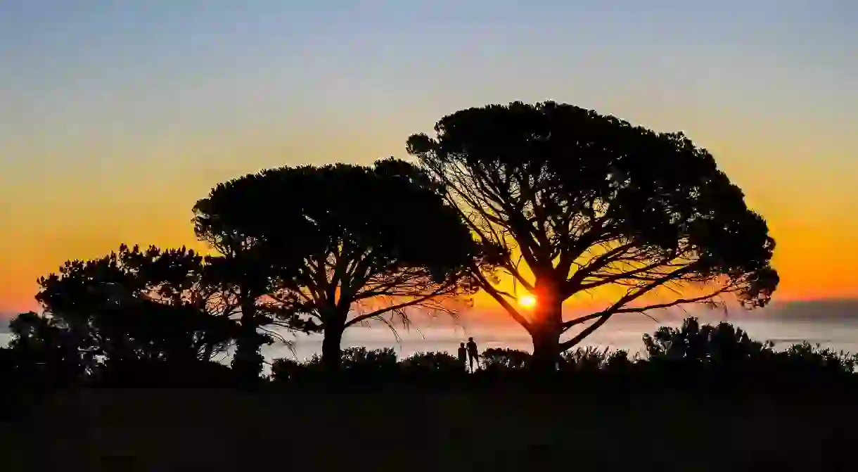 Your treehouse stay in South Africa will be tree-mendous (seriously, you wont want to leaf)