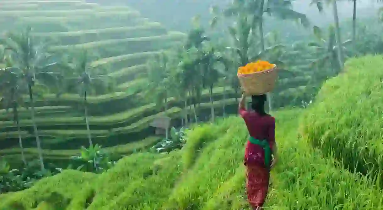 The rich, vast rice terraces of Bali will give you sensory overload