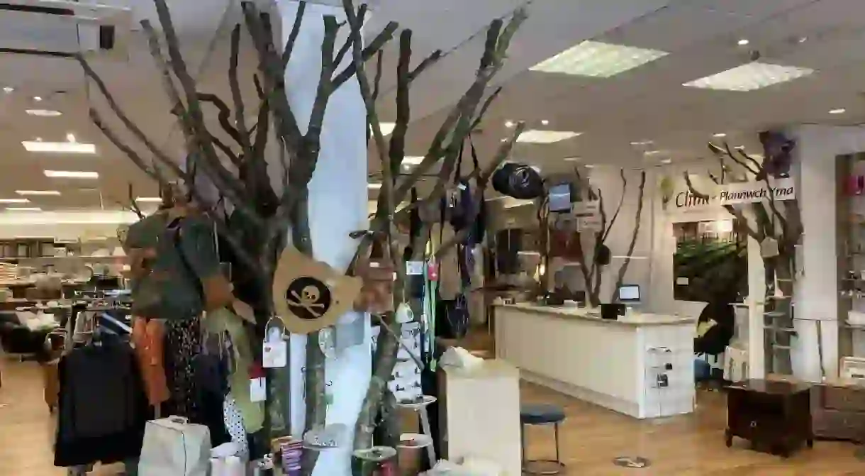 Inside the Climate Shop, Aberystwyth