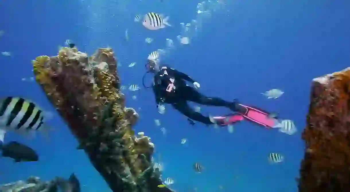 What lies beneath: beyond the bustling piers and roadside attractions of the Florida Keys is an underwater world of coral and wreck diving