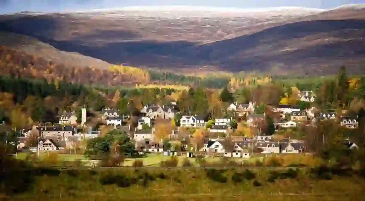 Stay in the heart of the Cairngorms for a visit to the Highland Wildlife Park