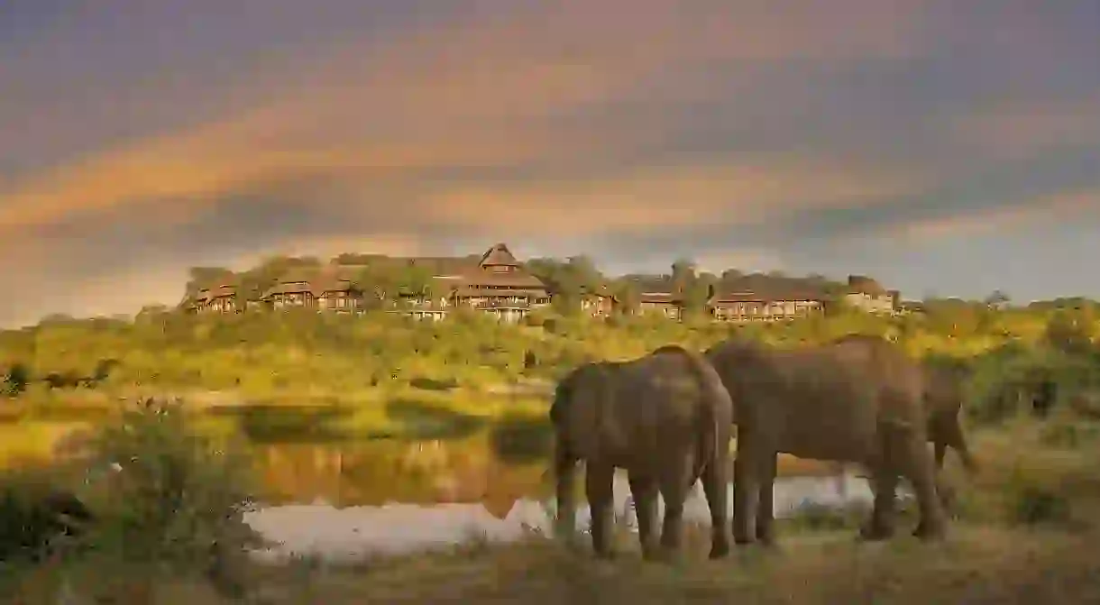 Observe elephants and other wildlife from the Victoria Falls Safari Lodge