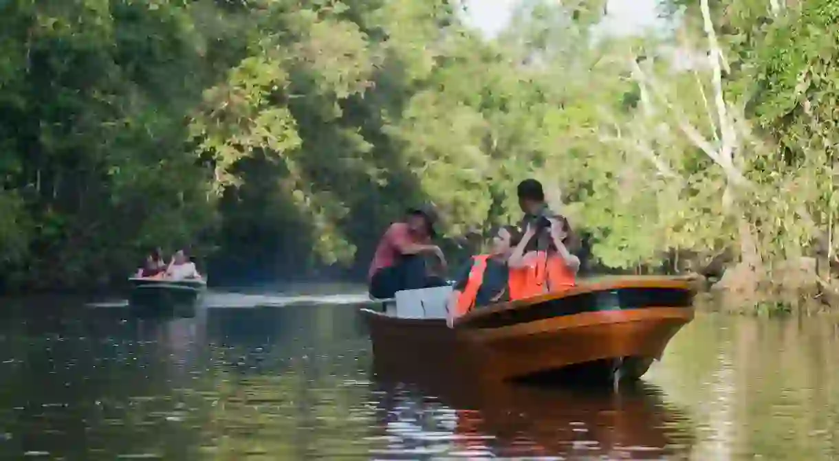 A boat on the Kinabatangan River is just one place from which to see orangutans on Borneo