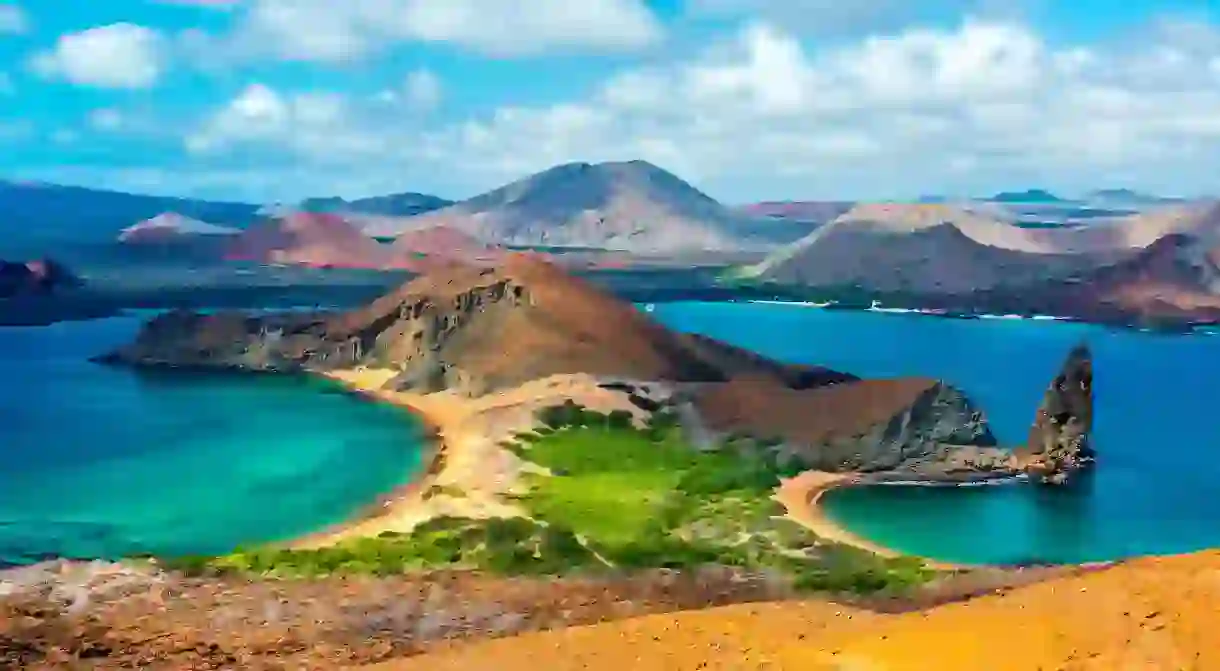 The rich biodiversity in the Galapagos Islands makes it one of the top diving destinations in the world