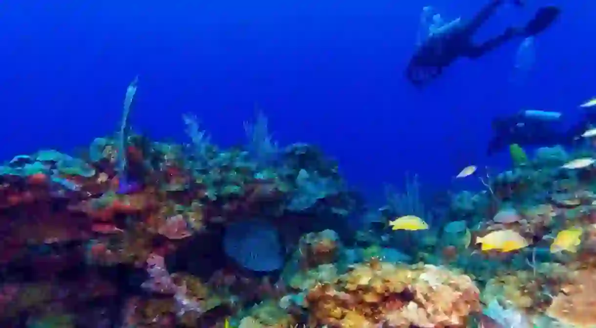 Diving amid the colourful reef at Cayo Largo, Cuba