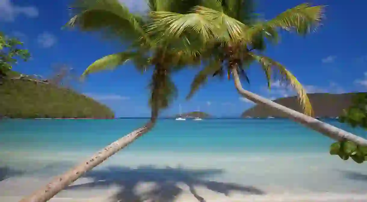 Maho Bay Beach is just one of many picturesque beaches in St John