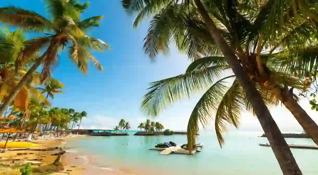 Coconut palm trees line the coast around Bas-du-Fort