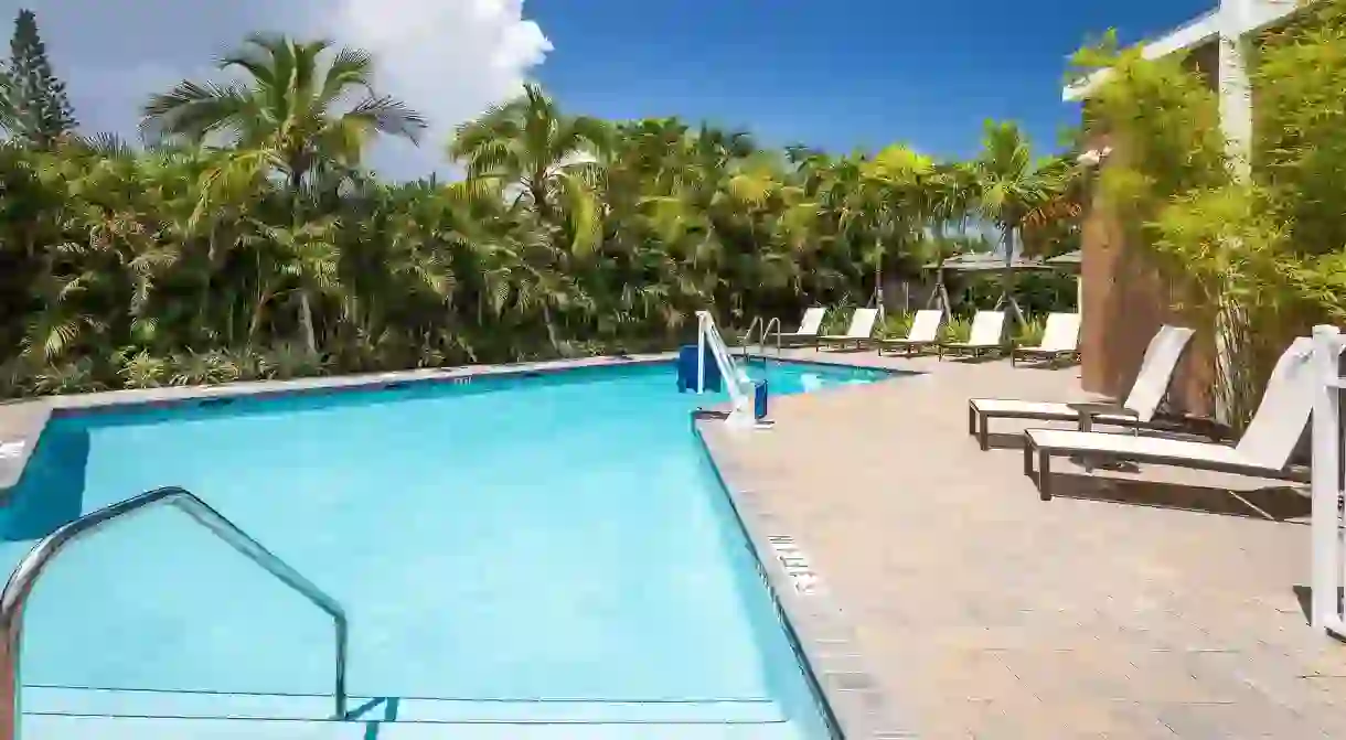 After a day of exploring the wilds of Florida, enjoy time by the pool at Hilton Garden Inn Homestead