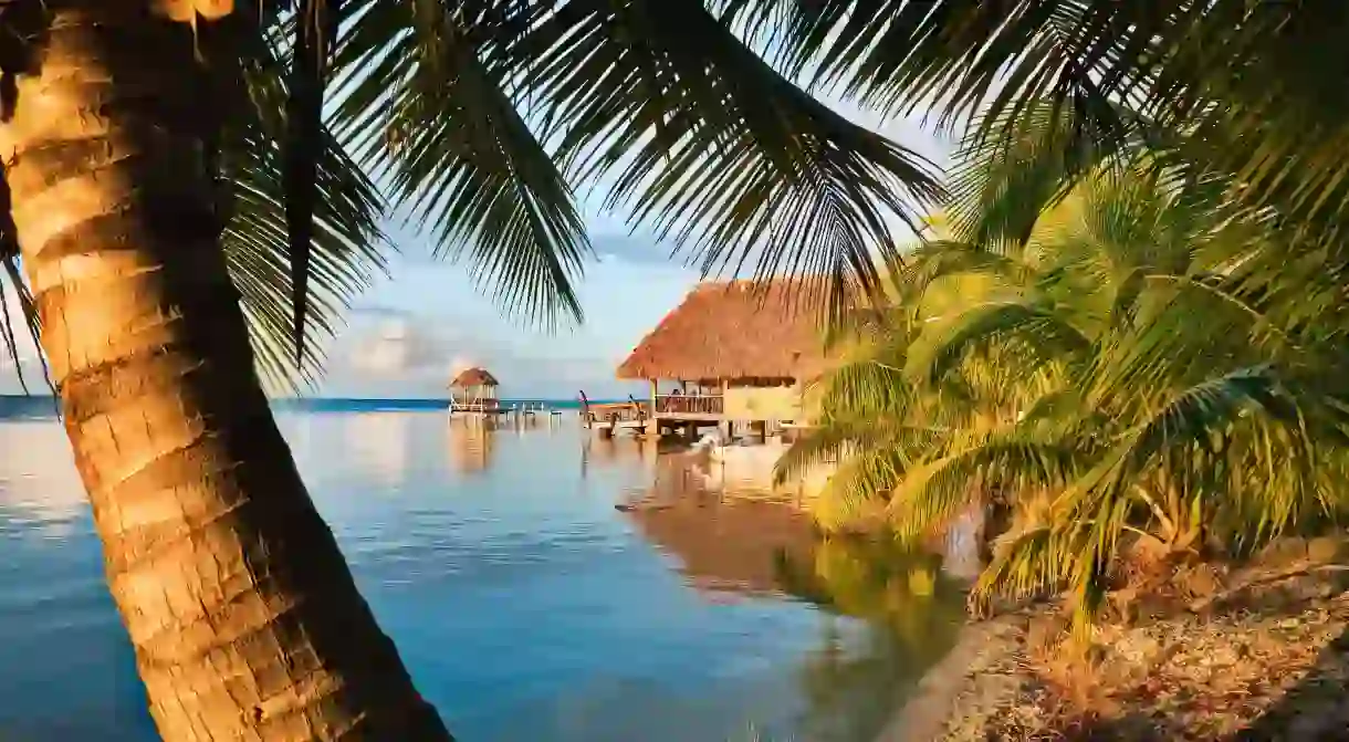 Placencia has no shortage of great watering holes by the water