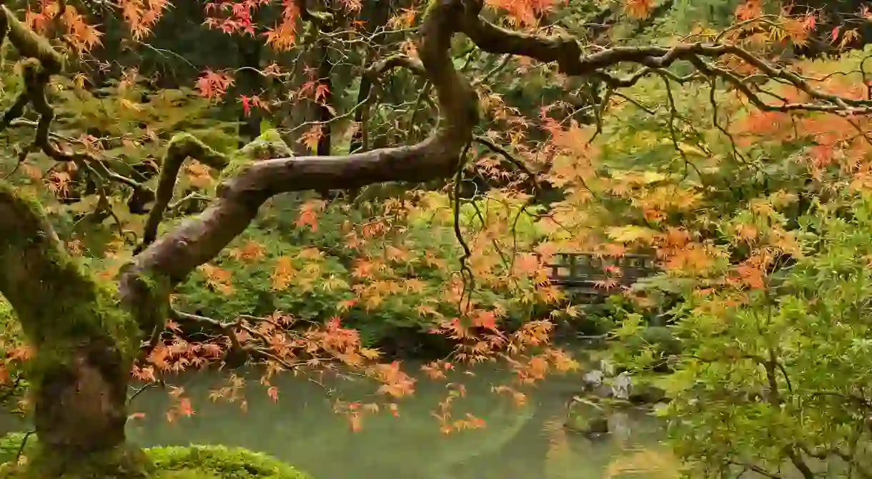 The Portland Japanese Garden is a peaceful place to explore on foot