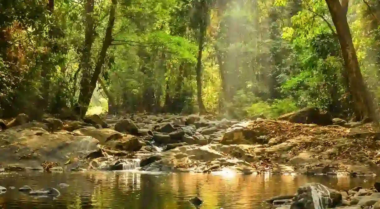 Pathway to Tambdi Surla Waterfall in Bhagwan Mahavir Sanctuary