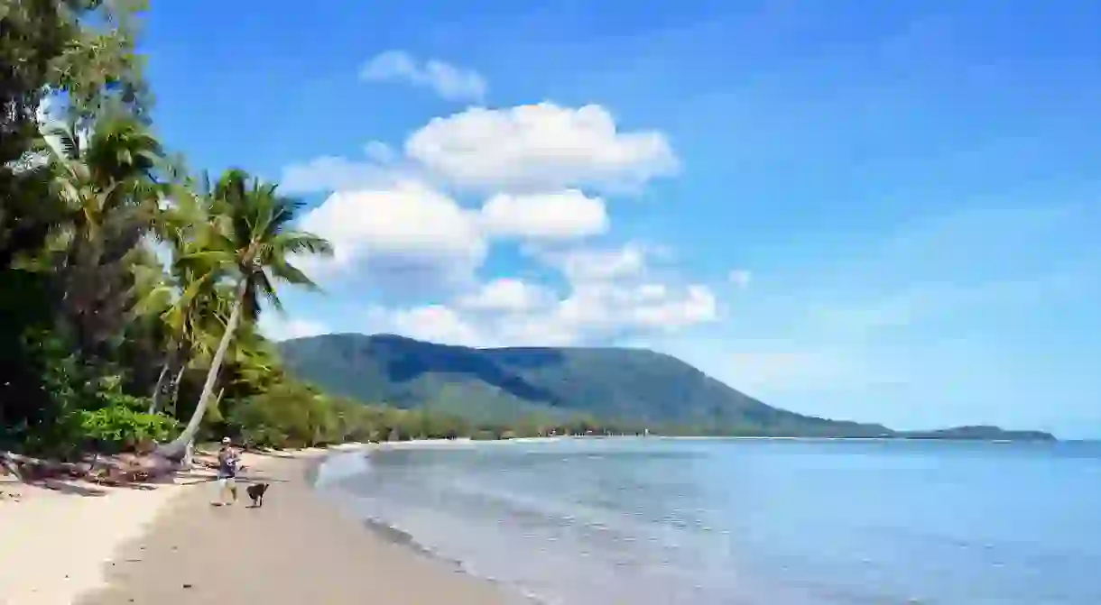 Your hound will have a blast on holiday in Cairns, Australia