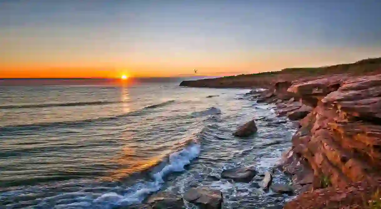 To explore the coastline of Prince Edward Island in Canada is to be rewarded with scenery as divine as the seafood youll discover along the way