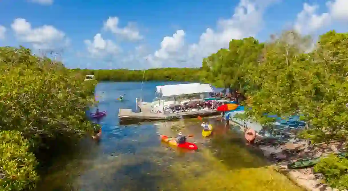 Kayaking has long been a popular activity in the John Pennekamp State Park