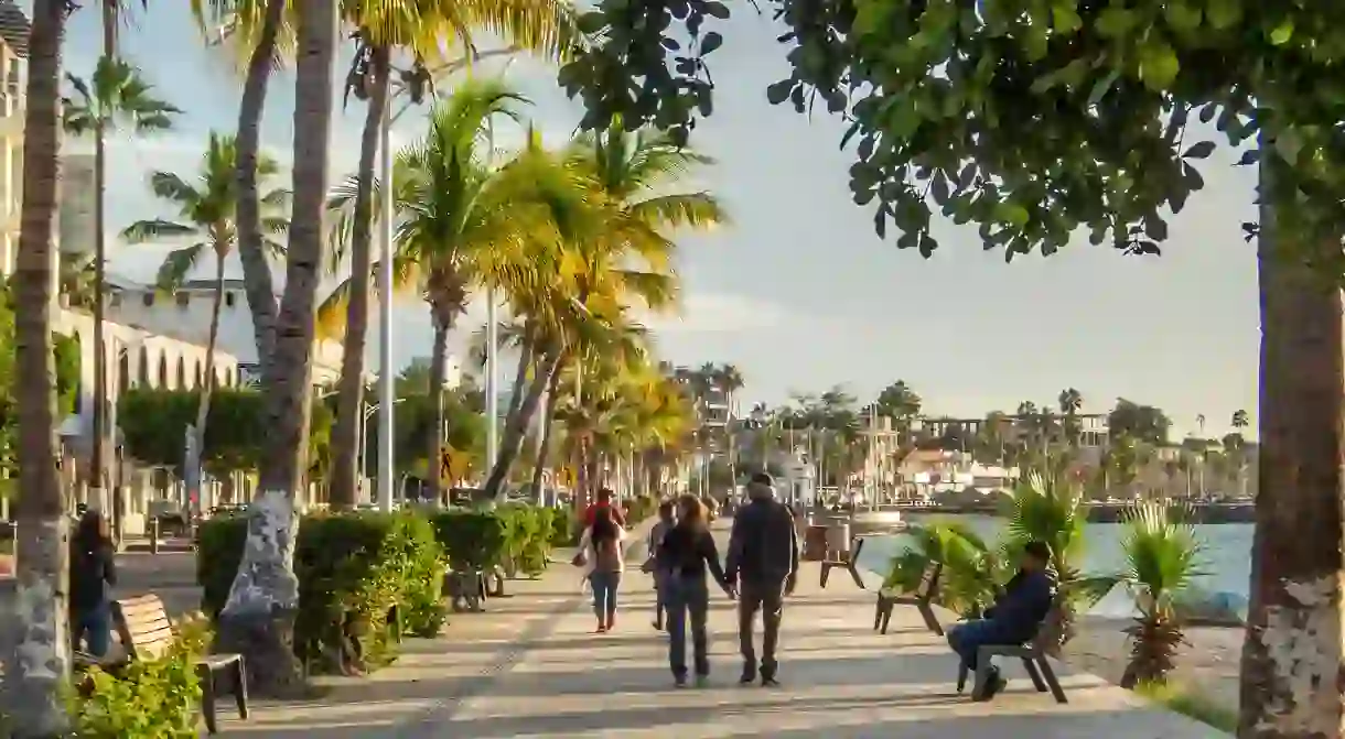 malecon in La Paz, Baja California Sur, Mexico