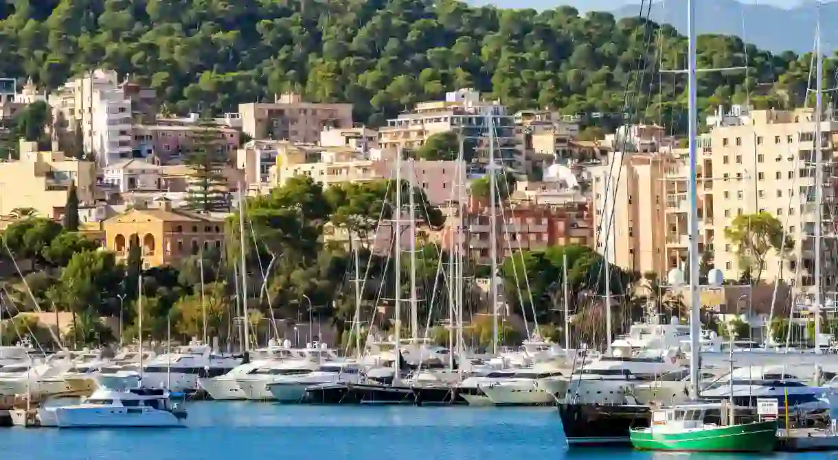 See the best of Mallorca from the water on a boat trip around the island