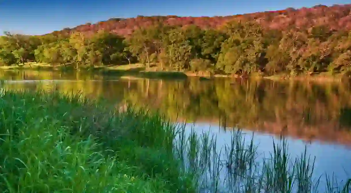 Colorado River at sunset in Colorado Bend State Park, Texas, USA