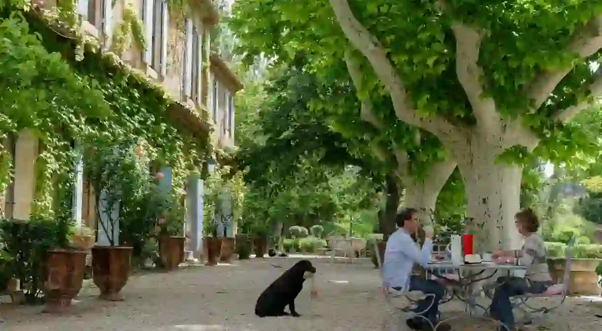 Dining under plane trees in Boutonnet