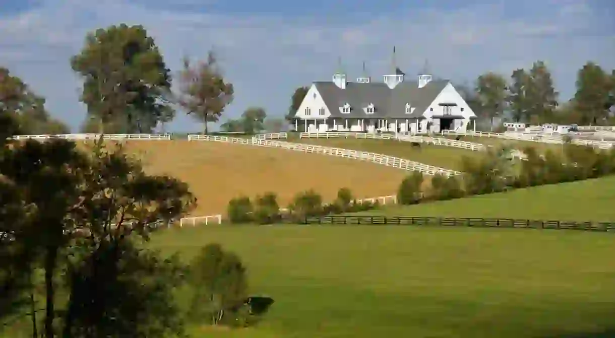 Get a taste of the American outdoors at Manchester Farm, Lexington