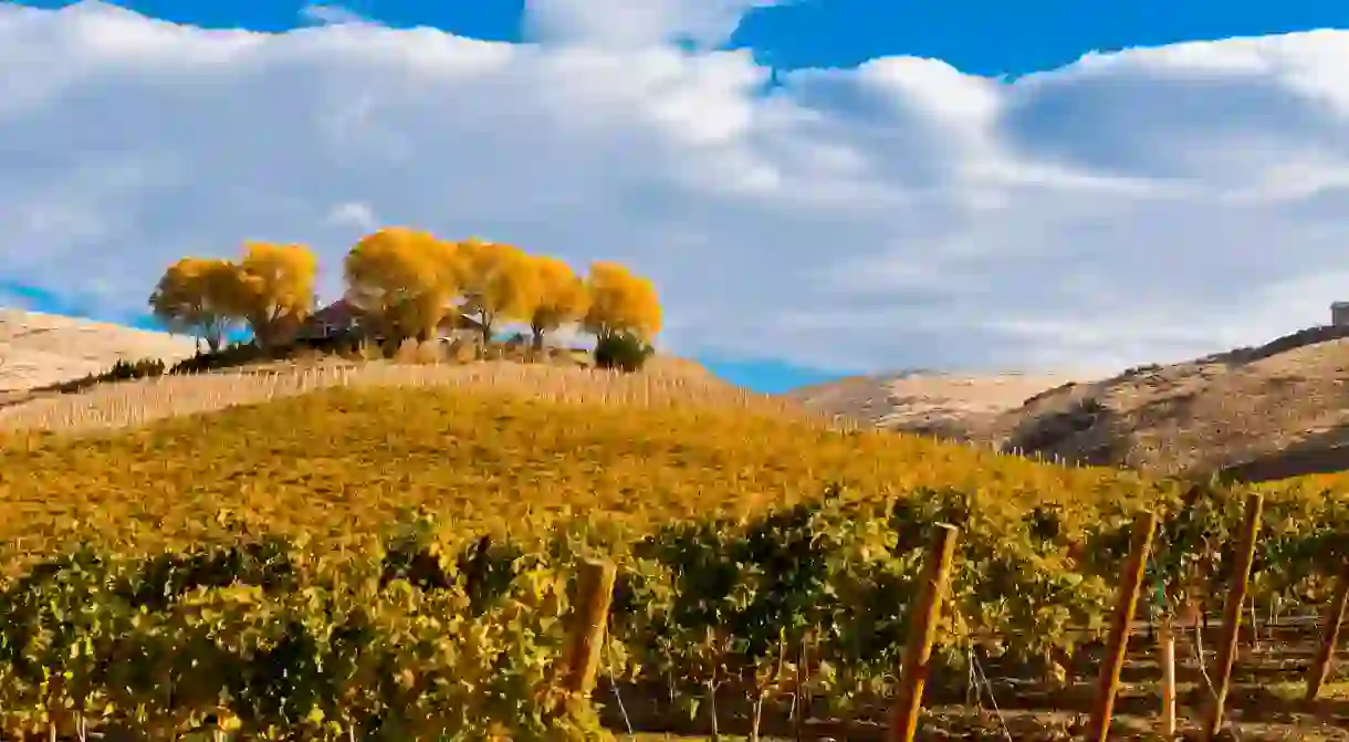 Taste the best wines around Yakima, then rest your head back at one of these top hotels