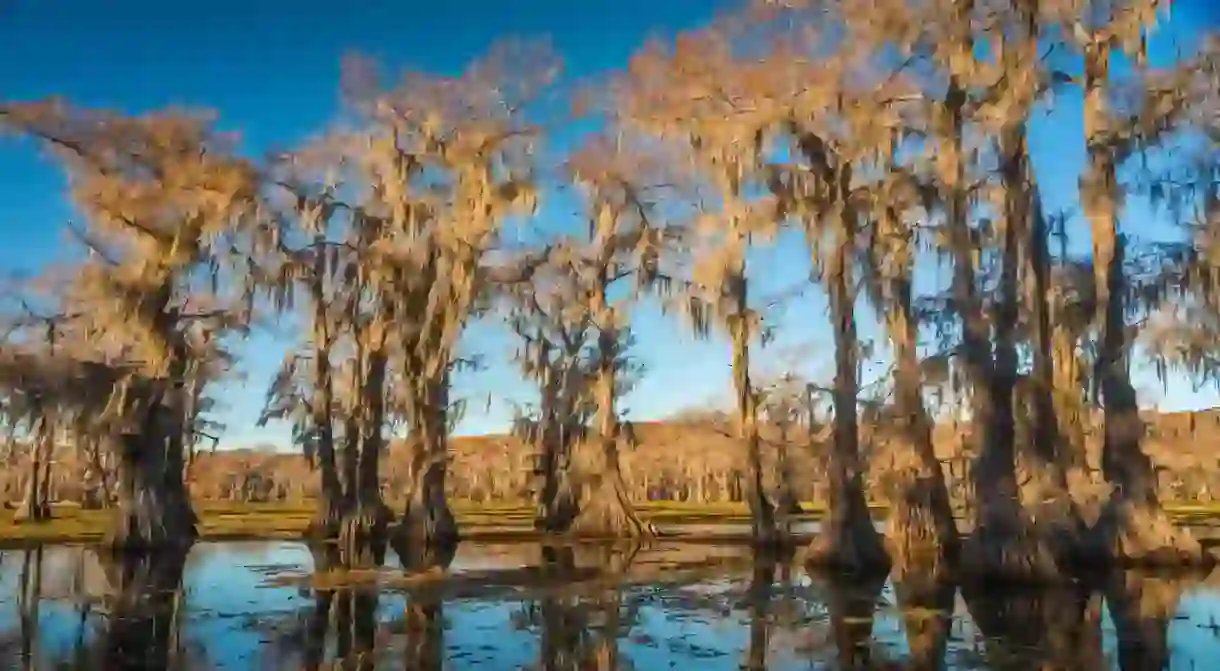 Caddo Lake is a lake and wetland located on the border between Texas and Louisiana.