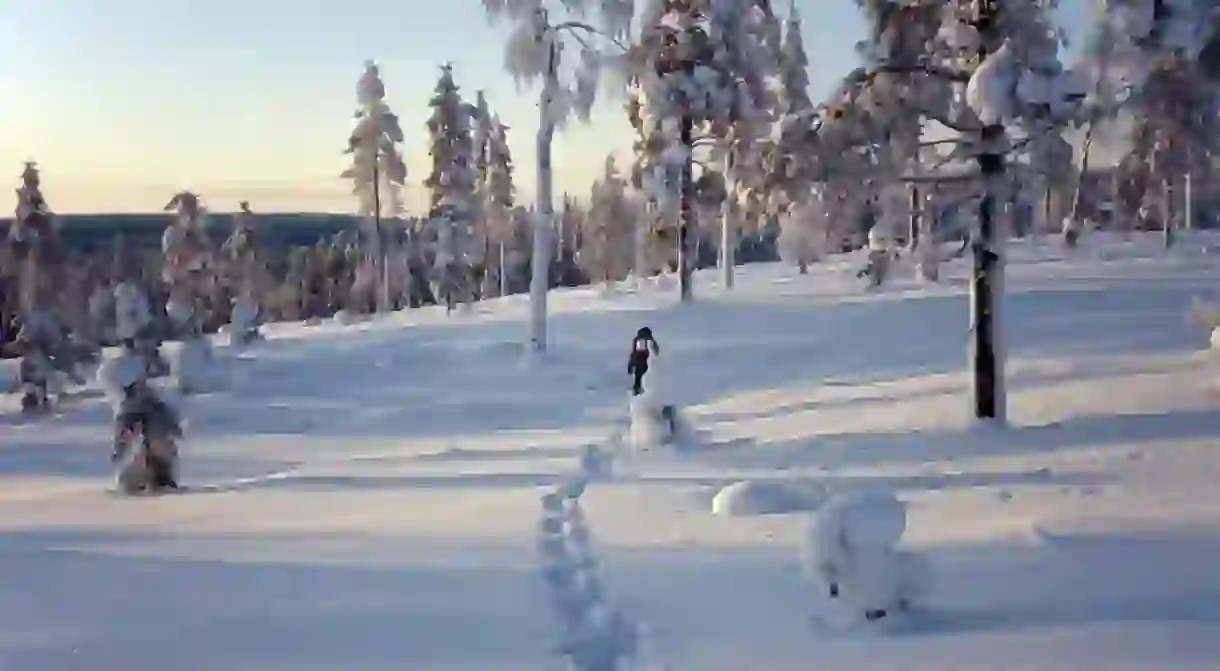 Explore the snowy wilderness of Lapland from the city of Rovaniemi