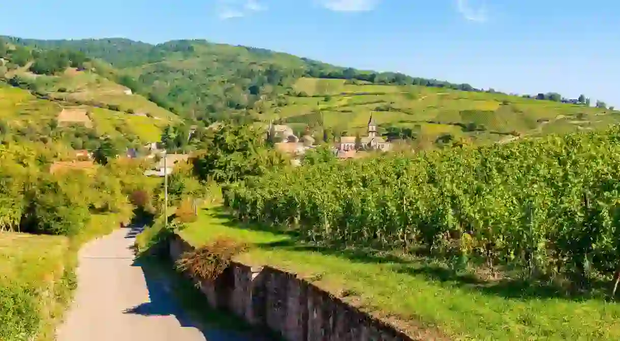 If you need a pick-me-up, grab a bicycle and mosey through French vineyards