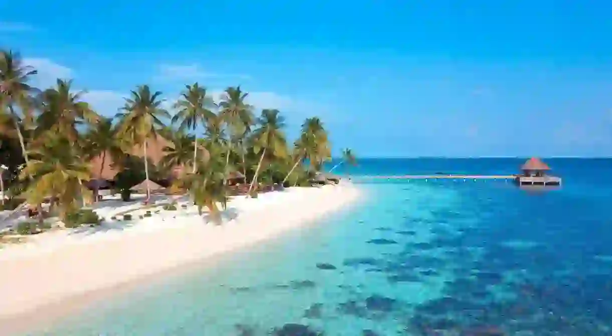 The waters off Raa Atoll, in the Maldives, contain phosphorescent plankton