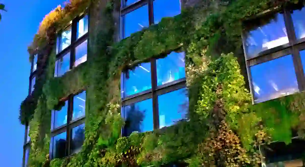 Patrick Blancs Vertical garden at Musee du quai Branly in Paris