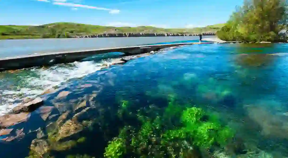 Giant Springs flows into the Missouri River at Giant Springs State Park, Great Falls, Montana.