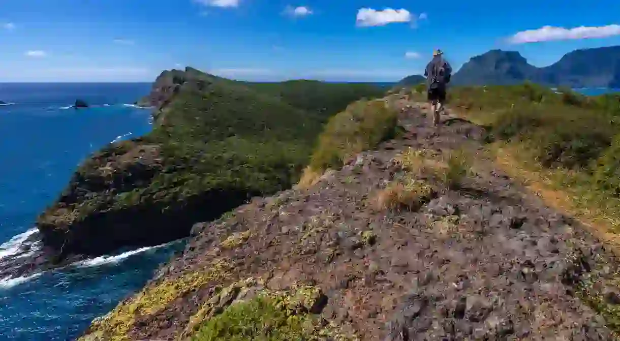 Man hiking, Lord Howe Island, New South Wales, Australia