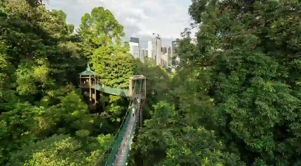 A view of canopy walk in the KL Forest Eco Park in Kuala Lumpur, Malaysia