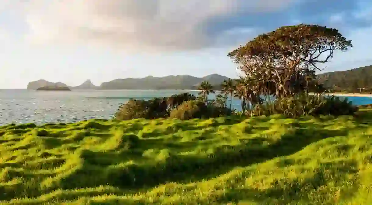 Explore the stunning landscapes of Lord Howe Island for a unique South Pacific getaway