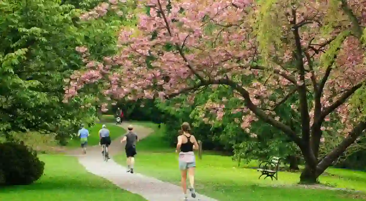 Washington Park Arboretum