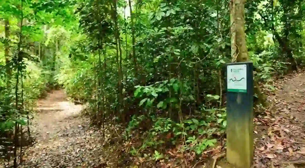 Honeyeater lookout hiking trail, Conway national park, Airlie Beach, Queensland, Australia