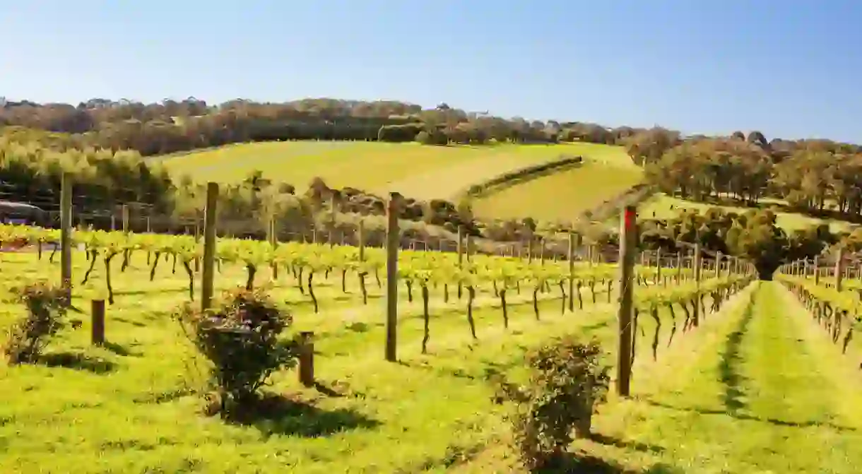 The produce and wine created in Mornington Peninsula is second to none