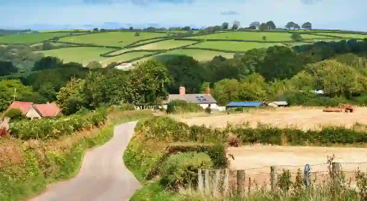 Golden fields on the edge of Exmoor, Devon