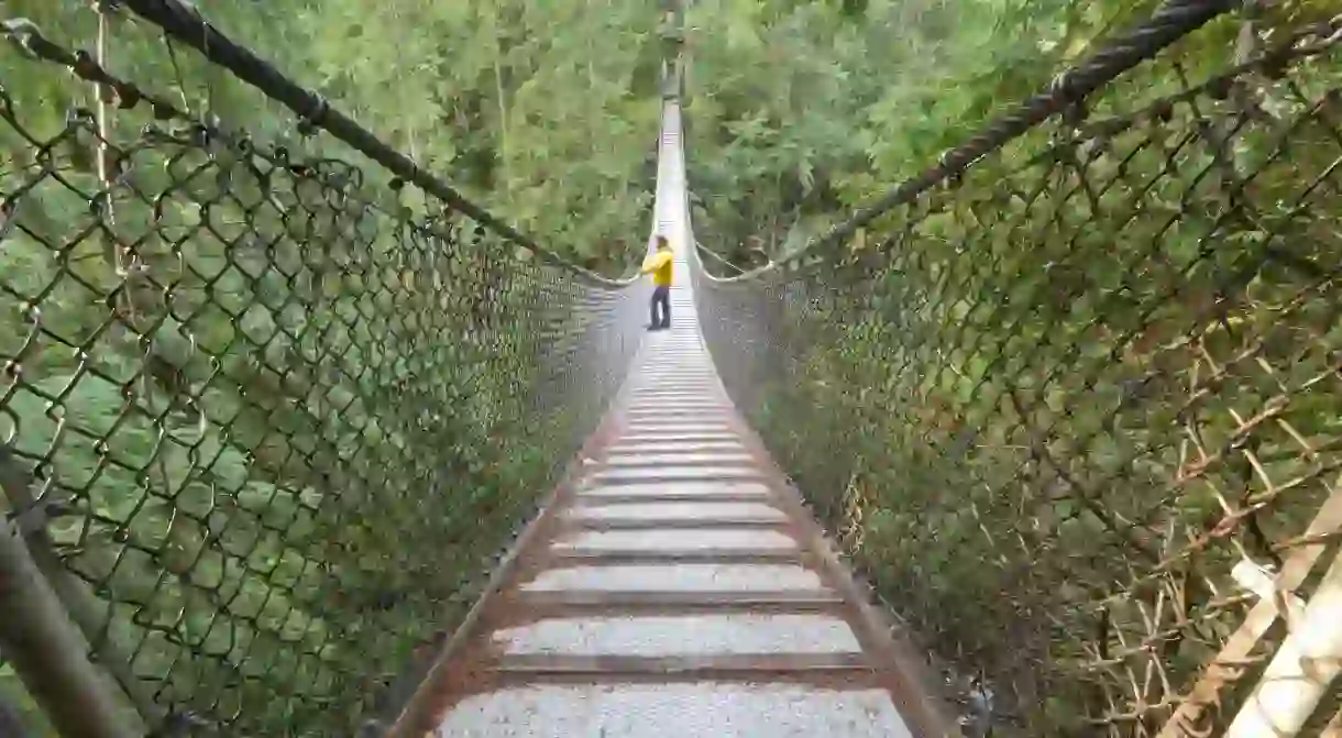 Hiker looks out from center of suspension bridge at Lynn Canyon Park in North Vancouver