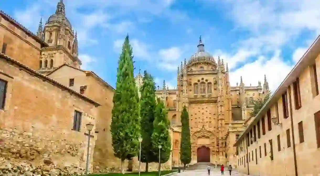 Beautiful view of Cathedral of Salamanca, Castilla y Leon region