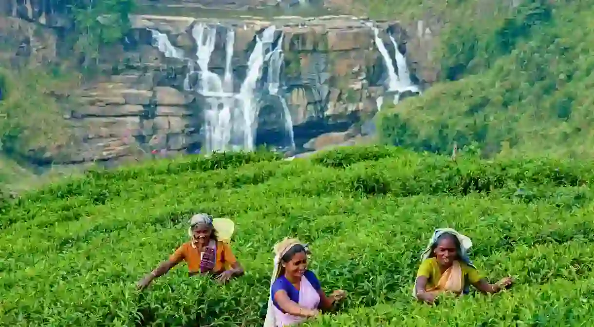 Nuwara Eliya, Sri Lanka, is a city in the tea country hills