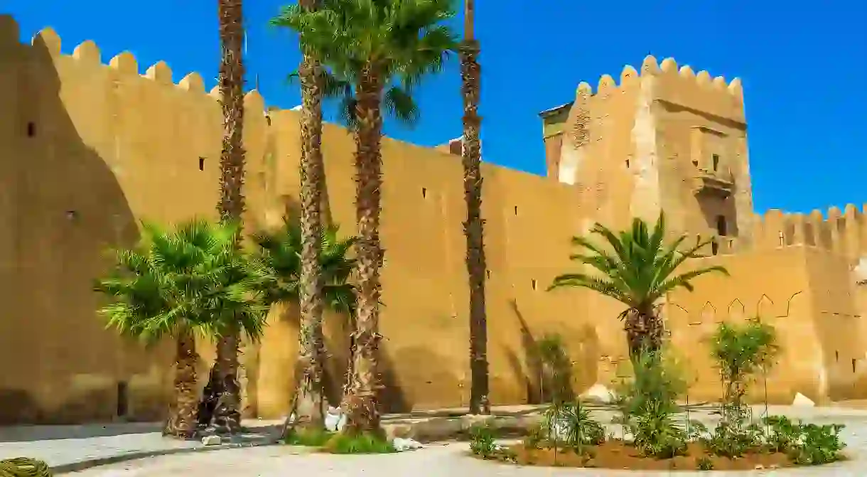 The view on Sfax ramparts with beautiful green palms