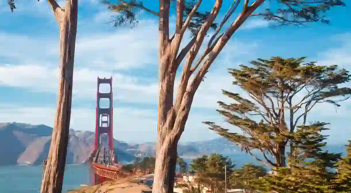 Famous Golden Gate Bridge framed by old cypress trees at Presidio Park