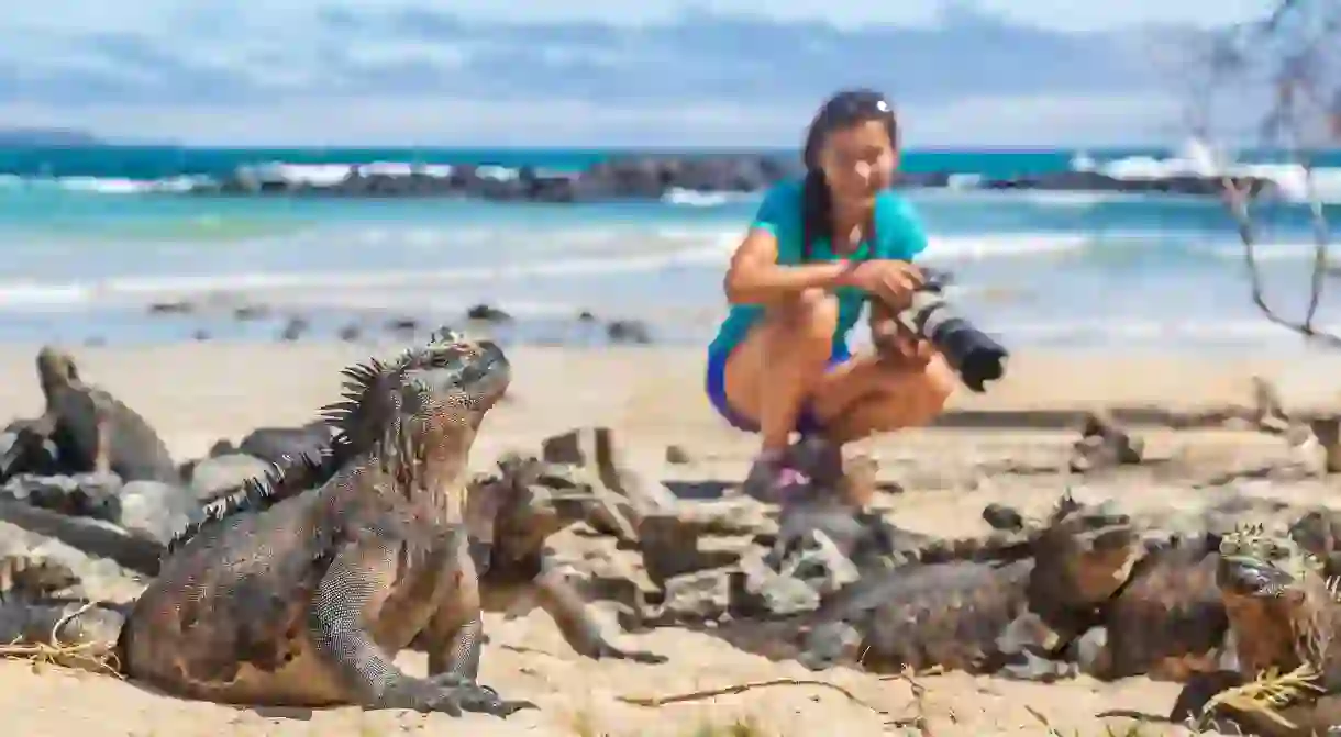 Check out the Galapagos Islands for your next solo travel experience