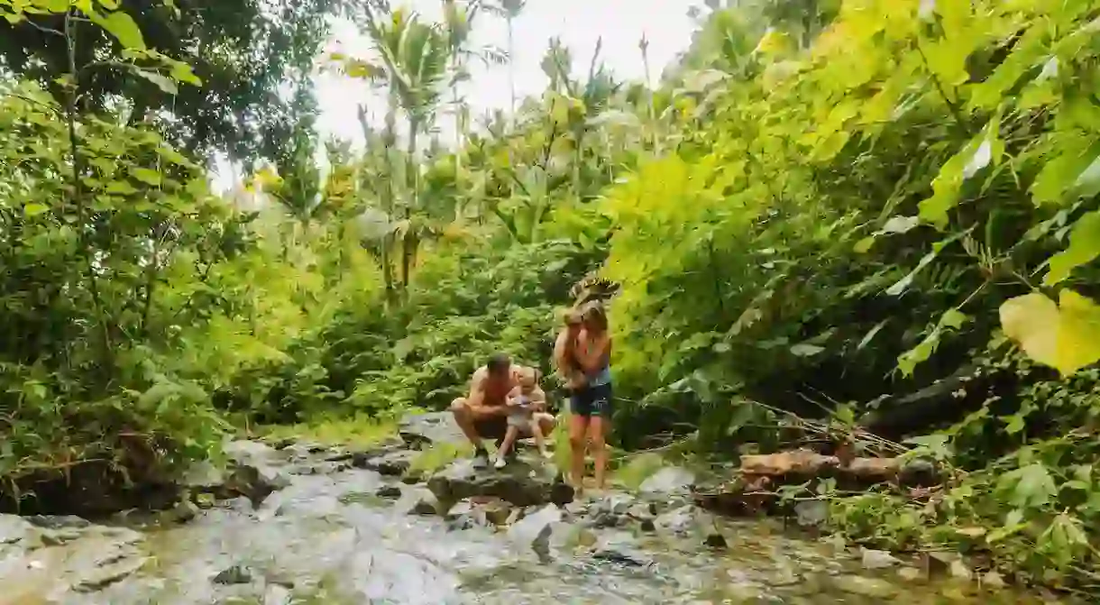 Hiking through El Yunque National Forest is a must on any trip to Puerto Rico