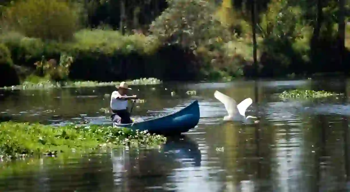 The magical canals of Xochimilco offer a fascinating insight into the history of the city