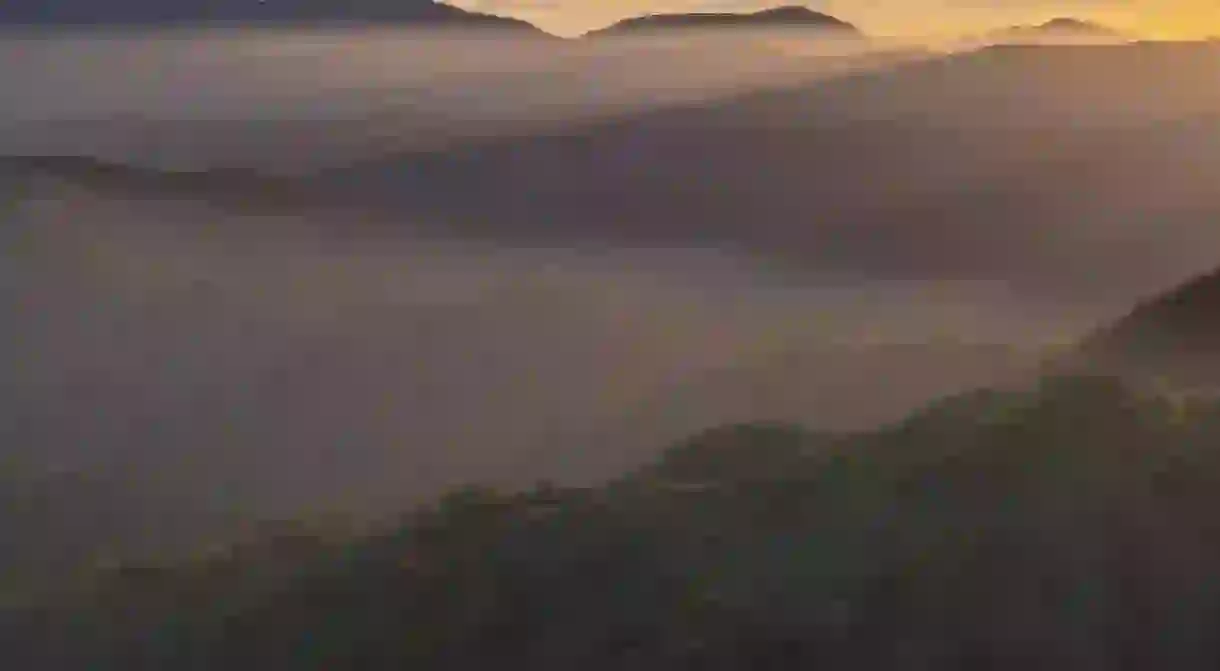 A cool pacific mist spills over the mountains and valleys of Castle Rock State Park at sunset near San Jose, California