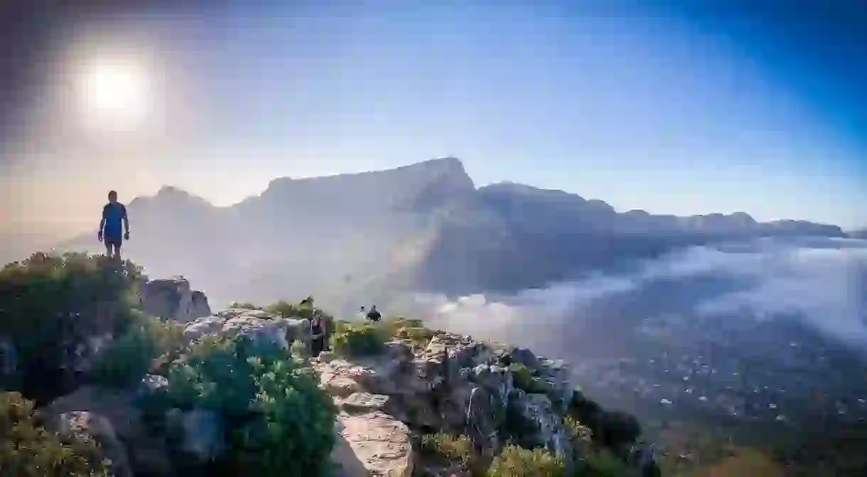 A hiker/trail-runner stand on top of Lions head during a morning run. Stopping to look at Table mountain with a panoramic view.